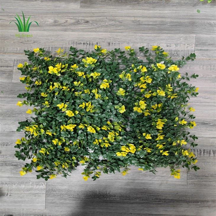 Best Plants For Indoor Green Wall