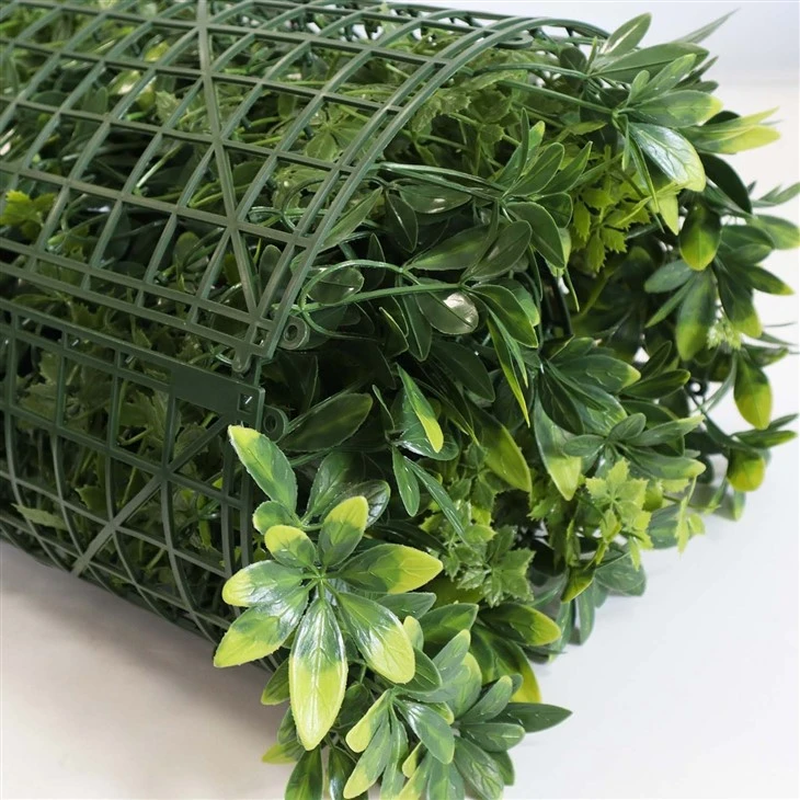 Diy Plant Wall Indoor