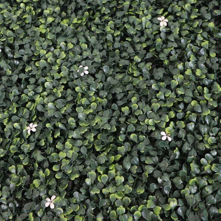 Living Wall Garden Indoor