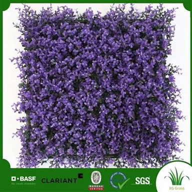 Indendørs Planter Lodret Have