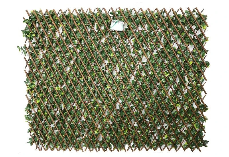 product-800-550