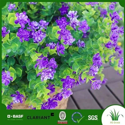 Faux Fugl Af Paradis Plante