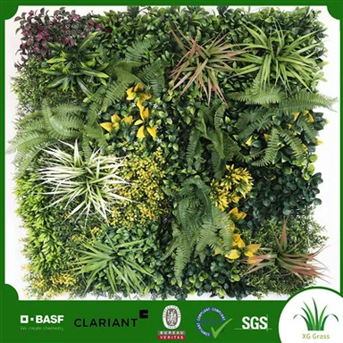 Indendørs grønne vægplanter