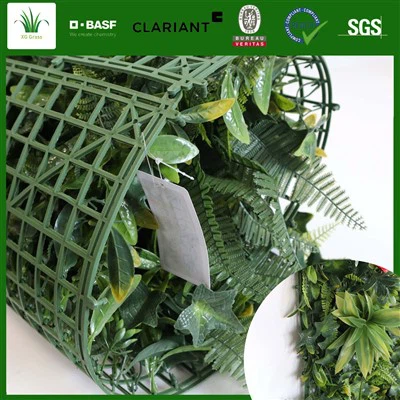 Indendørs vinplanter væg