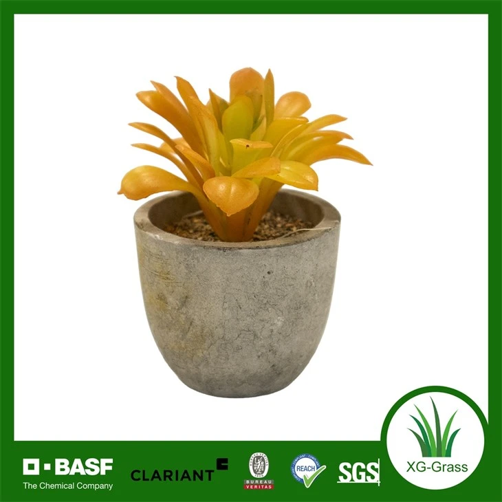 Xingu Vibrant Faux Succulent-arrangementer til moderne boligindretning
