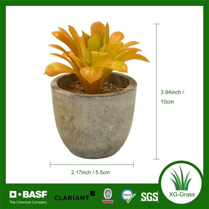Xingu Vibrant Faux Succulent Arrangements For Modern Home Decor best
